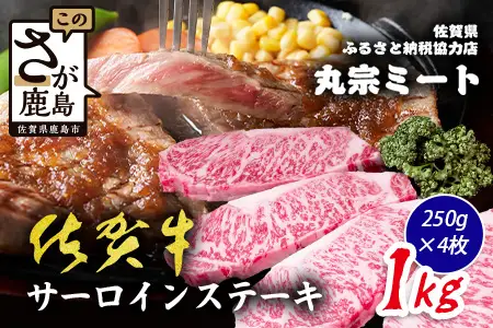 佐賀牛 サーロインステーキ 250g×4枚 計1000g ブランド牛 ステーキ 精肉 E-185