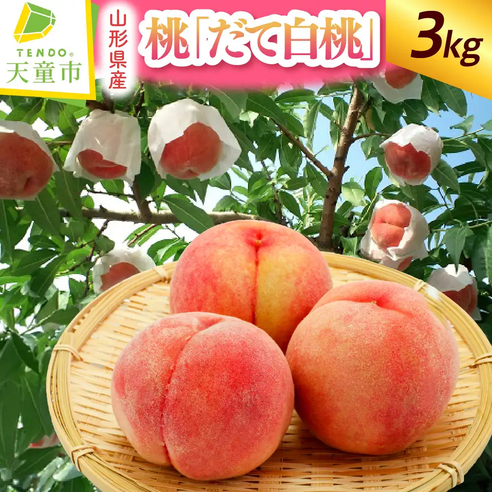 もも ( だて白桃 ) 3kg 桃 伊達白桃 山形 08-07-011