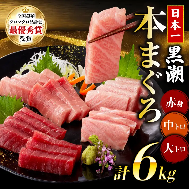 本マグロ3種セット 大トロ 中トロ 赤身 6kg 日本一 まぐろ トロ クロマグロ 黒マグロ 刺身 冷凍 刺し身 鮮魚 本鮪 まぐろ赤身 鮪 魚介 魚 マグロ 漬け 食べ比べ 国産 養殖まぐろ 高級 養殖 人気 寿司 ユッケ 海鮮丼 さしみ お正月 冊 全国養殖クロマグロ品評会 ランキング 1位 高知道水 宿毛市 高知県