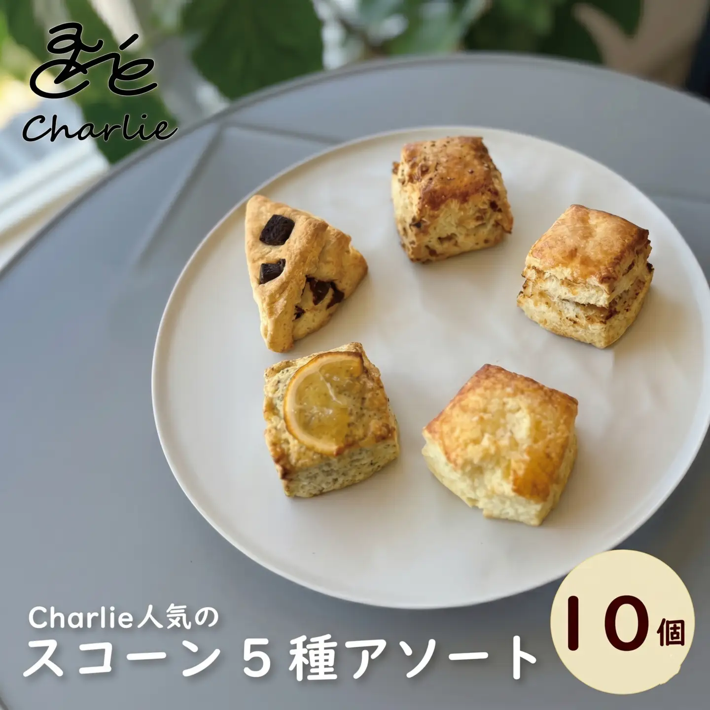 スコーン 10個 セット 5種 【 スコーン 】