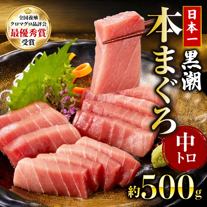 本マグロ 中トロ 500g 日本一 まぐろ トロ クロマグロ 黒マグロ 刺身 冷凍 刺し身 鮮魚 本鮪 まぐろ赤身 鮪 魚介 魚 マグロ 漬け 食べ比べ 国産 養殖まぐろ 高級 養殖 人気 寿司 ユッケ 海鮮丼 さしみ お正月 冊 全国養殖クロマグロ品評会 ランキング 1位 高知道水 宿毛市 高知県