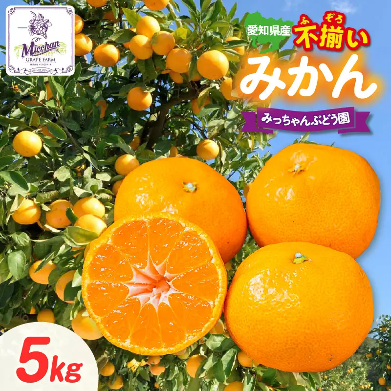 【先行予約】【2026年12月発送】【訳あり】不揃いみかん・5kg×1箱