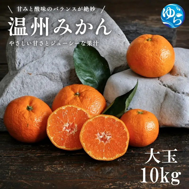 温州みかん 10kg 大玉 サイズ混合 / 温州 みかん 柑橘 由良町 果物