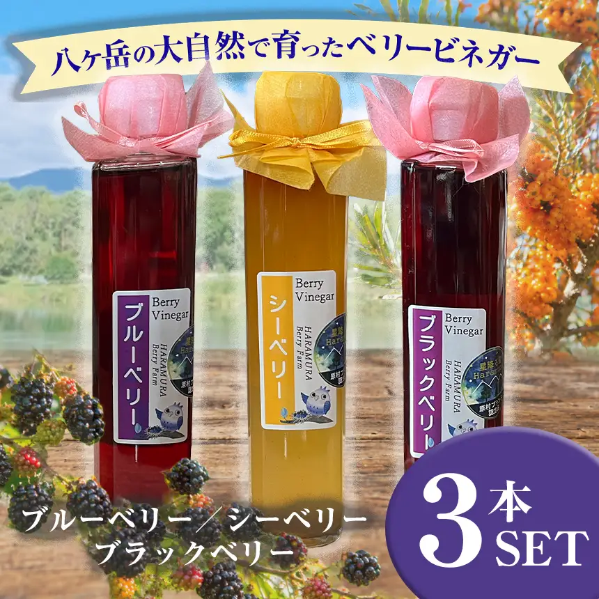 八ヶ岳の大自然で育った ベリービネガー 3本セット ( ブラックベリー , シーベリー , ブルーベリー )