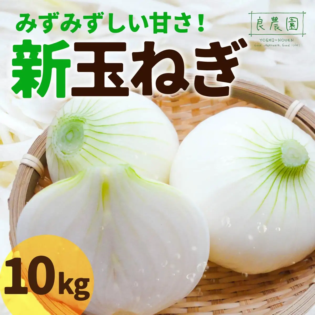 新玉ねぎ 10kg 玉ねぎ