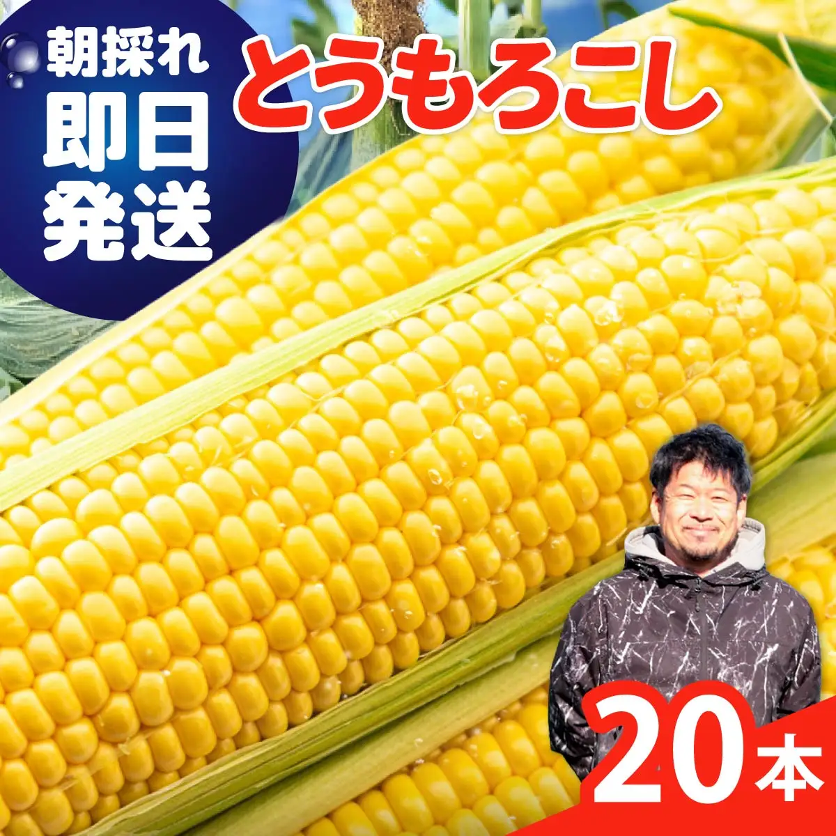とうもろこし トウモロコシ 20本 朝採れトウモロコシ