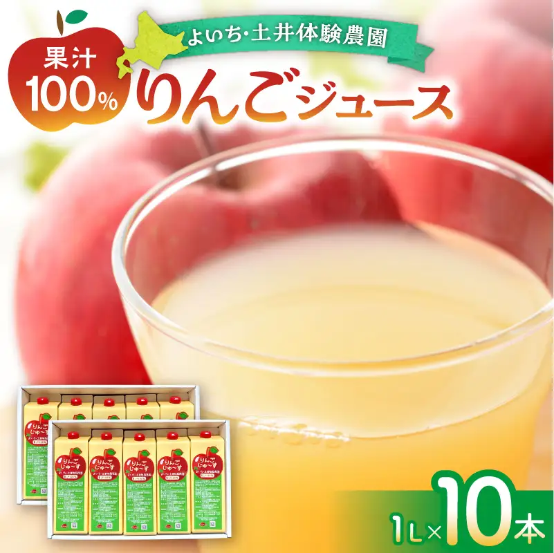 北海道余市町産 太陽の恵み 果汁100% りんごジュース  1L×10本入り 有機栽培 ストレート果汁_Y127-0013