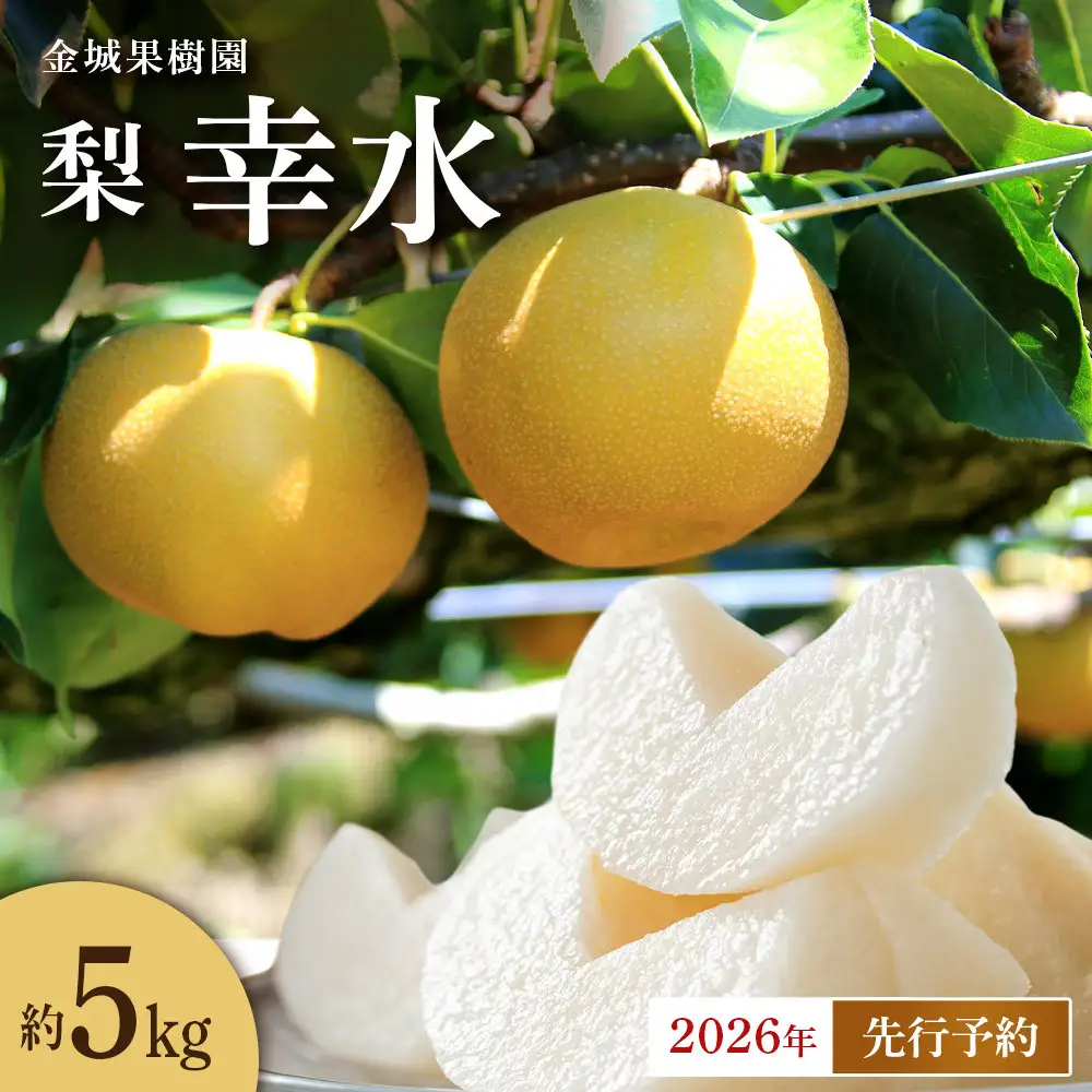 金城果樹園　梨「幸水」約5kg（10～16玉入）2026年8月中旬～ ｜ 梨 