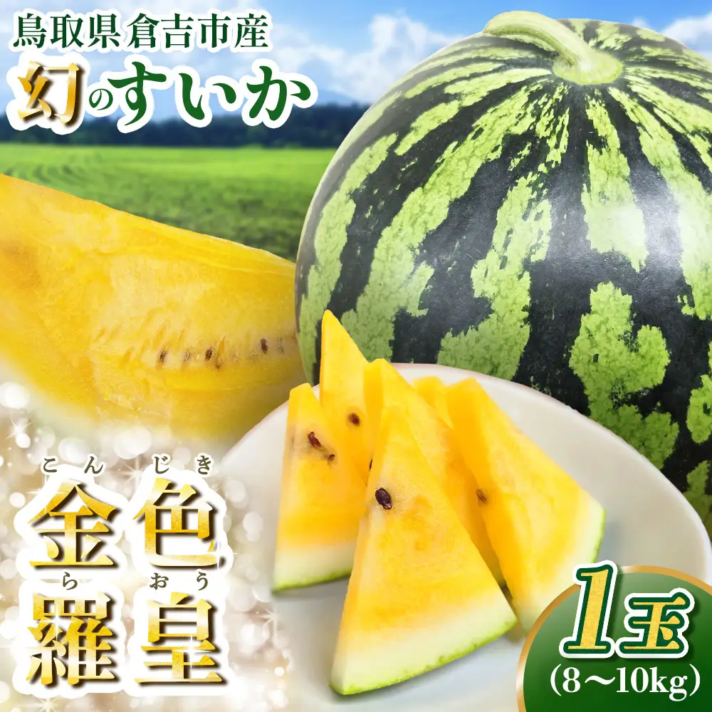 【鳥取県産】スイカ 金色羅皇 3L（1玉） 大玉スイカ 果物 先行予約