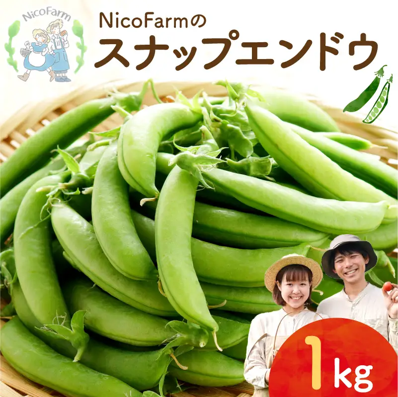 【先行予約6月上旬】甘くてシャキシャキ！スナップエンドウ 1kg えんどう豆_Y124-0048