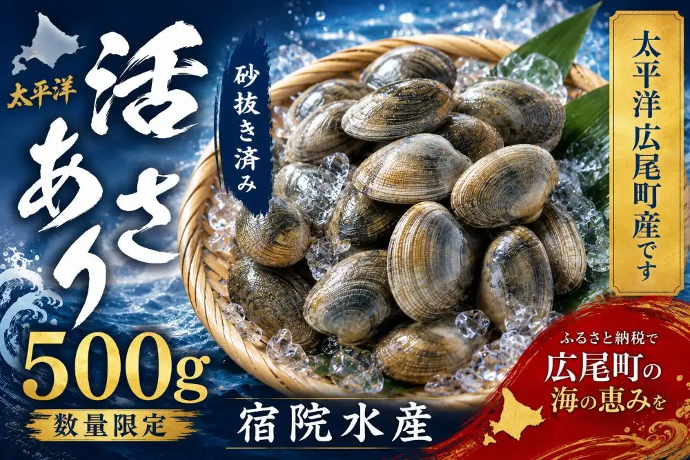 広尾町産　数量限定　活あさり　500g【アサリ　貝　生　新鮮　期間限定　北海道】(G0018)