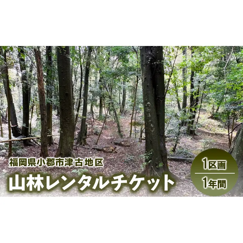 チケット 山林レンタルチケット 小郡市津古地区 1区画 1年間