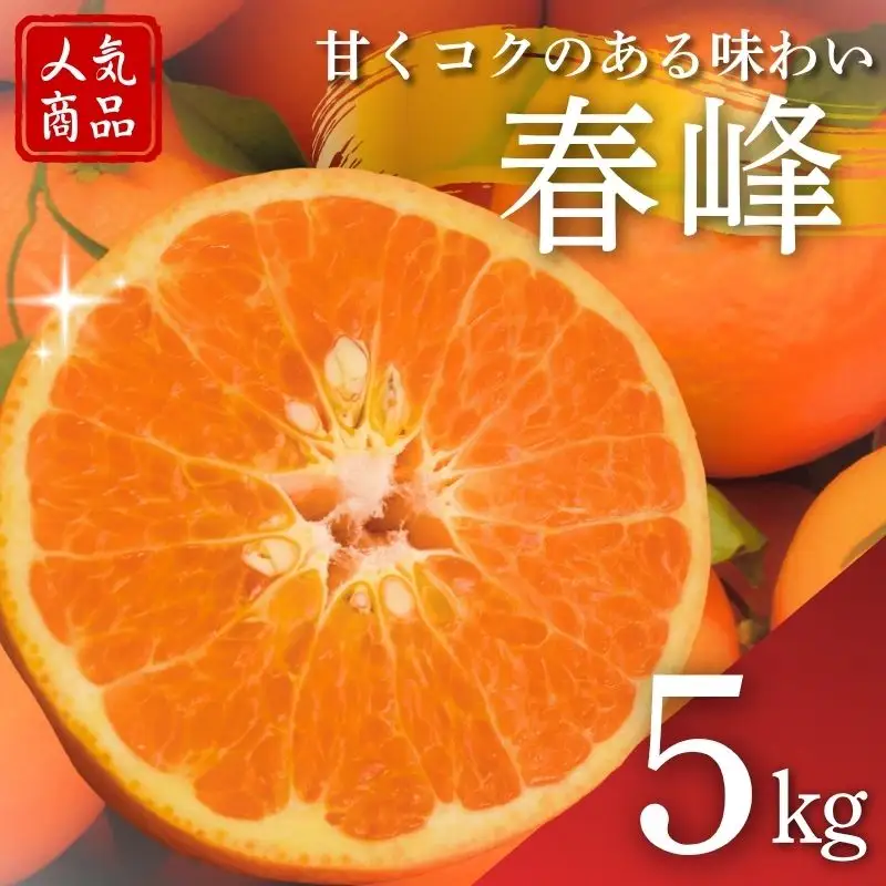 【2027年分先行予約】春峰 5kg ※2027年3月上旬～順次発送予定【期間限定・数量限定】 / みかん 蜜柑 5キロ しゅんぽう お取り寄せ 産地直送 贈答品 ギフト 果物 くだもの フルーツ 田辺市 和歌山県【ymh025】 