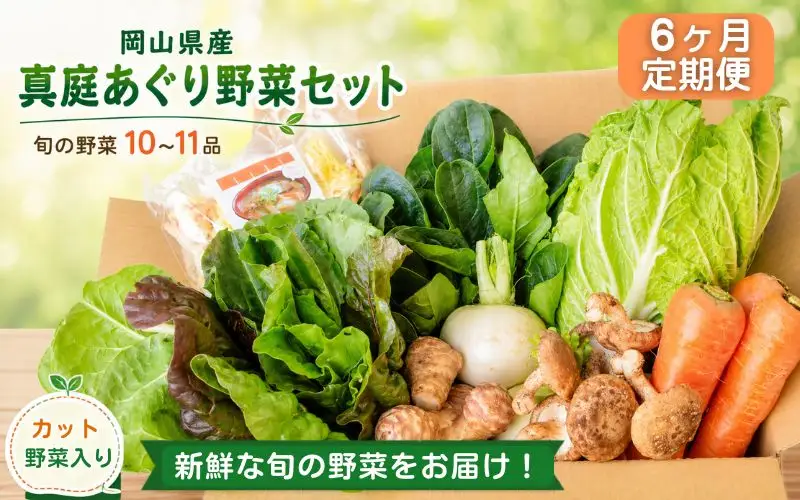 【6カ月定期便】真庭あぐり野菜セット カット野菜が1品入る 10～11品 / 産地直送 農家 お試し 岡山県 新鮮 あぐりガーデン 国産 【配送不可地域：北海道／沖縄県／離島】 【jujy-tkb052】