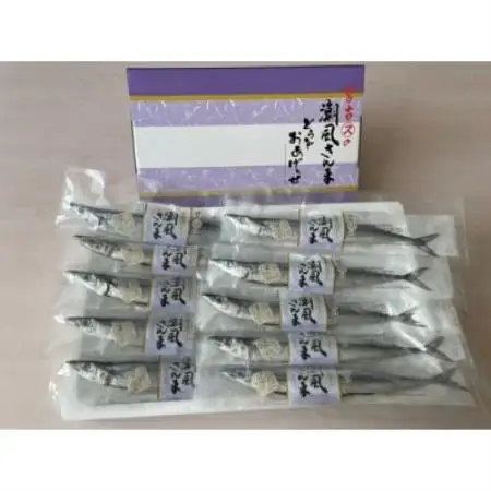 潮風さんま20本【配送不可地域：離島】【1733356】