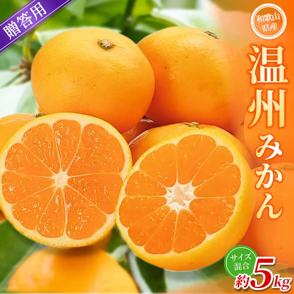 みかん【贈答用】 森本農園 約5kg 【2026年10月中旬～2027年2月中旬ごろに順次発送】【BV-mrmt092】