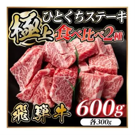 飛騨牛 ひとくちステーキ 食べ比べ2種 約600g(各約300g) 焼肉・BBQ用 サーロイン・ヒレ【配送不可地域：離島】【1733159】