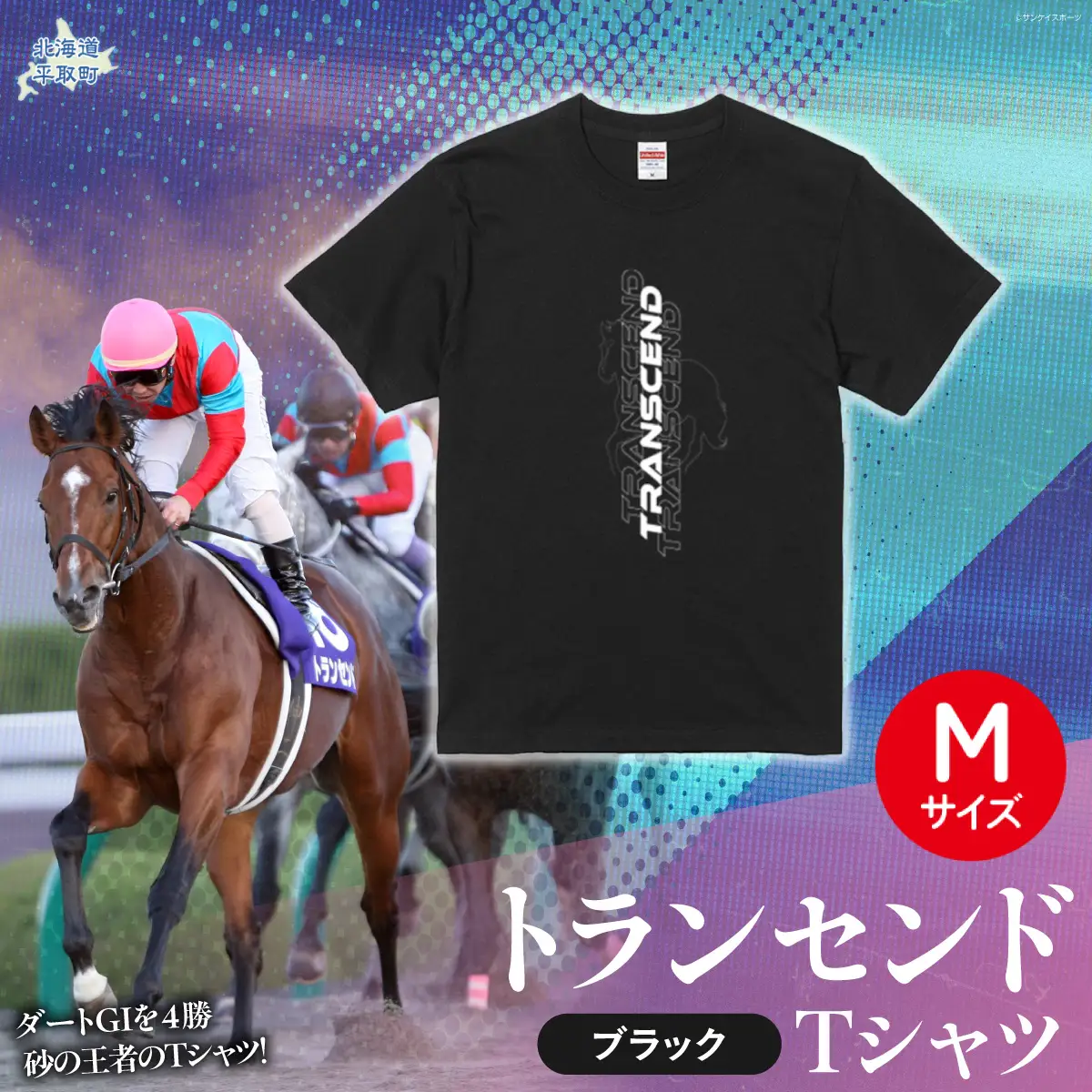 【トランセンド】Ｔシャツ 選べる４サイズ【M】 BRTV150-2