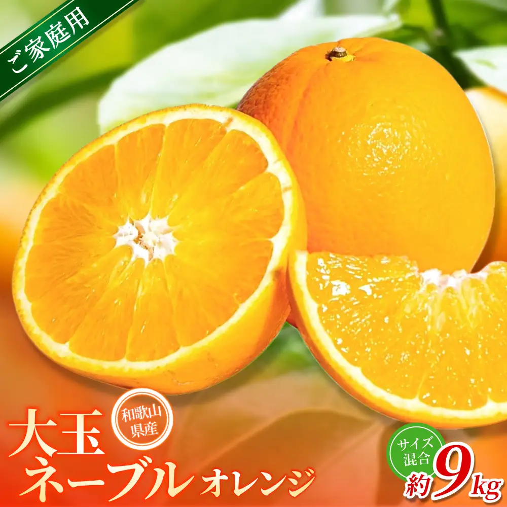 みかん 【訳あり・ご家庭用】 森本農園 大玉ネーブルオレンジ 約9kg【2027年1月上旬～2月中旬頃に順次発送】【BV-mrmt096】