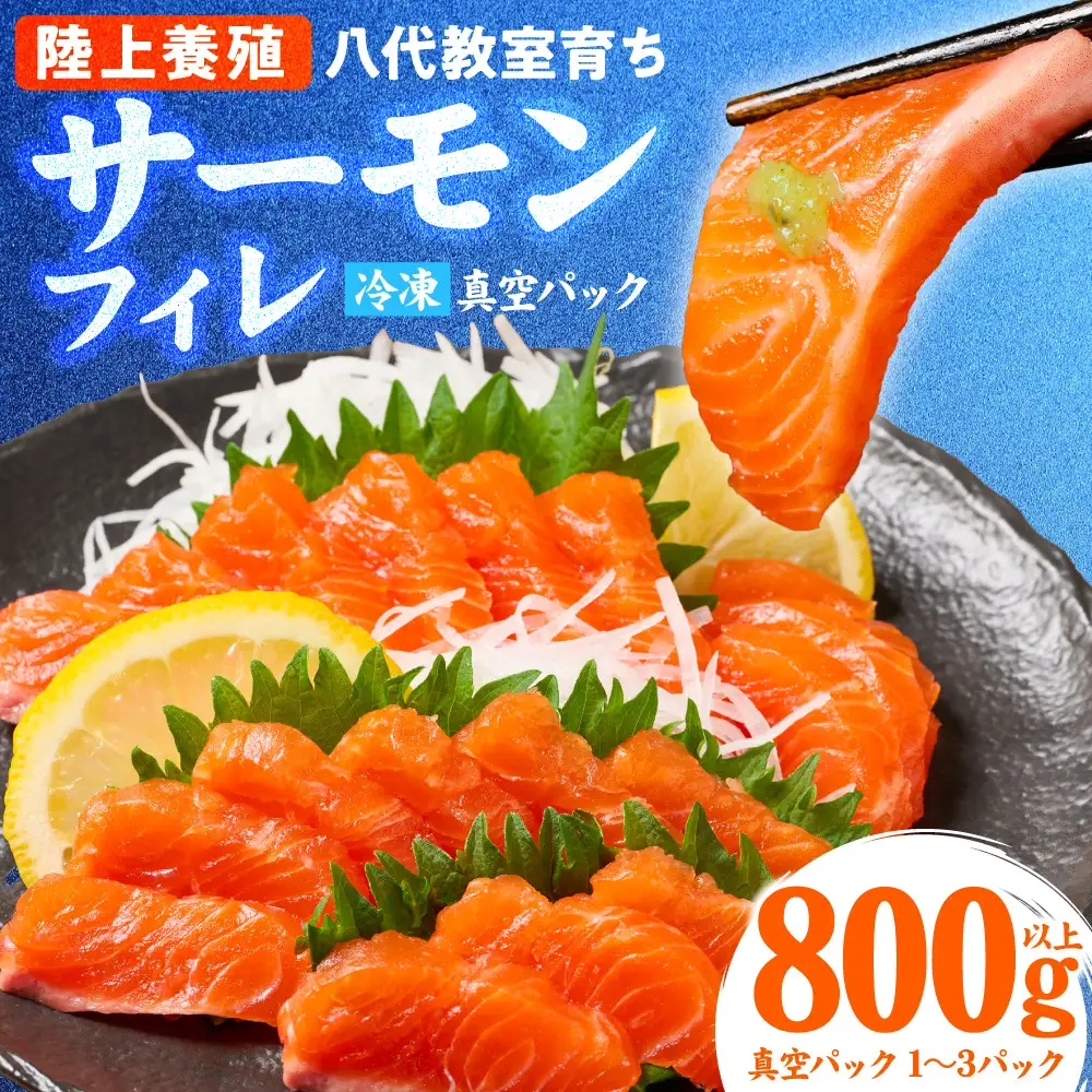 八代 教室育ち サーモン フィレ 800g以上 刺身 サーモン