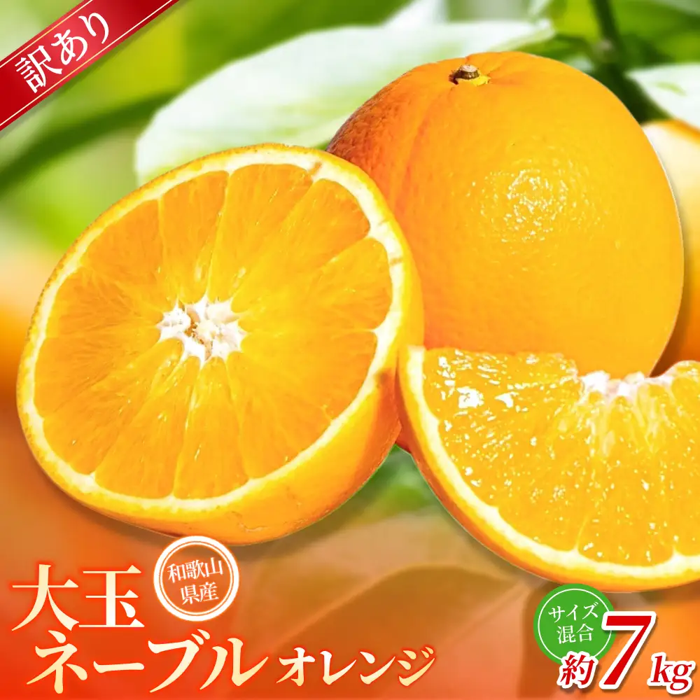 みかん 【訳あり・ご家庭用】 森本農園 大玉 ネーブルオレンジ 約7kg 【2027年1月上旬～2月中旬頃に順次発送】【BV-mrmt097】