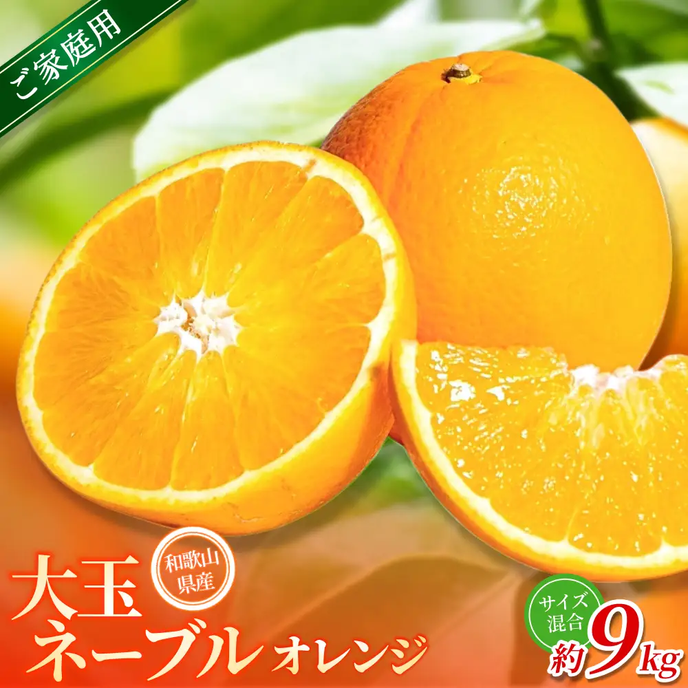 みかん 【訳あり・ご家庭用】 森本農園 大玉 ネーブルオレンジ 約9kg 【2027年1月上旬～2月中旬頃に順次発送】【BV-mrmt098】