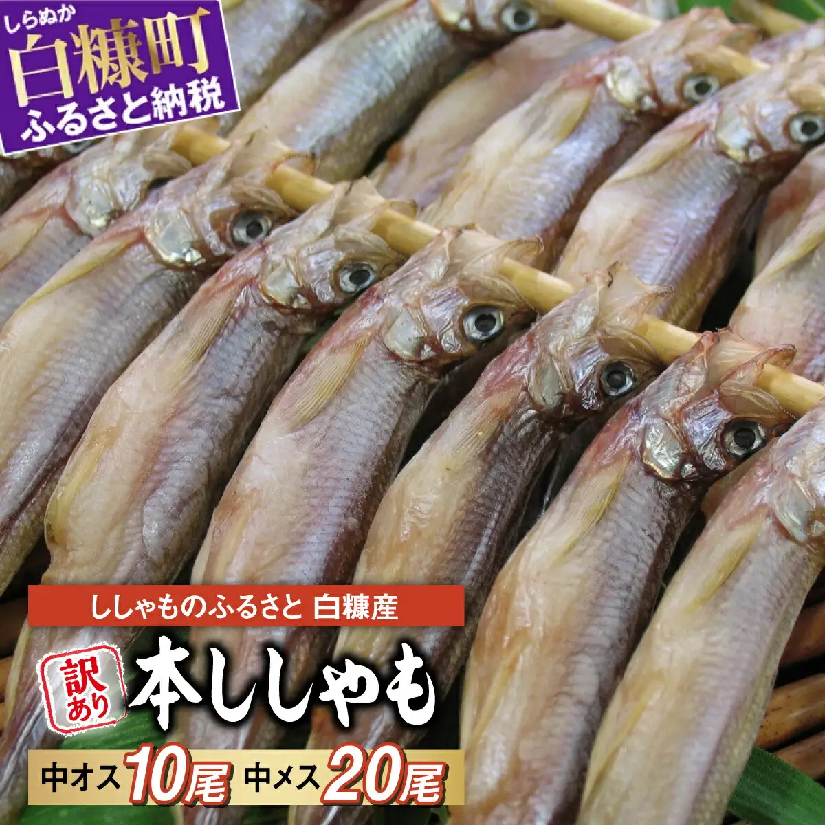 【訳あり】しらぬか産 本ししゃも 【数量限定】【中オス10尾・中メス20尾】_A015-1163