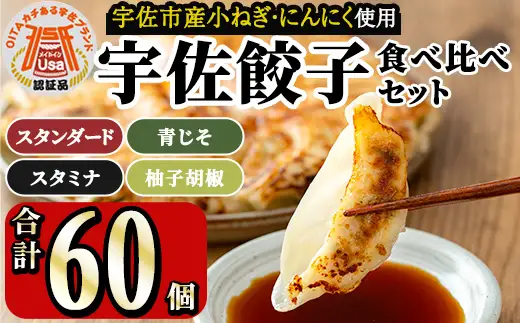 味深屋の宇佐餃子よりどりセット(合計5袋・5種) 餃子 ぎょうざ 簡単 惣菜 おかず おつまみ 簡単調理 焼くだけ 食べ比べ セット【104200300】【ＮＰＯ法人 結び恵会】