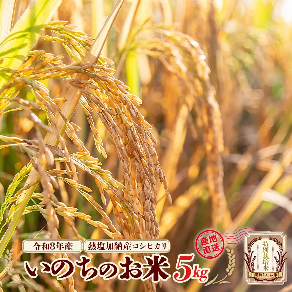 【先行予約】令和8年産　コシヒカリ　いのちのお米　5kg(令和8年11月中旬以降順次発送）　熱塩加納産　雪蔵銀ぴか米　会津　喜多方　【07208-0846】