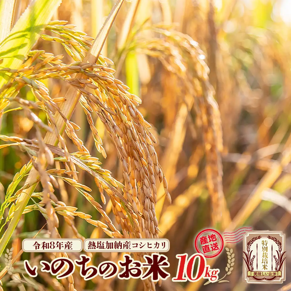 【先行予約】令和8年産　コシヒカリ　いのちのお米　10kg(令和8年11月中旬以降順次発送）　熱塩加納産　雪蔵銀ぴか米　会津　喜多方　【07208-0847】