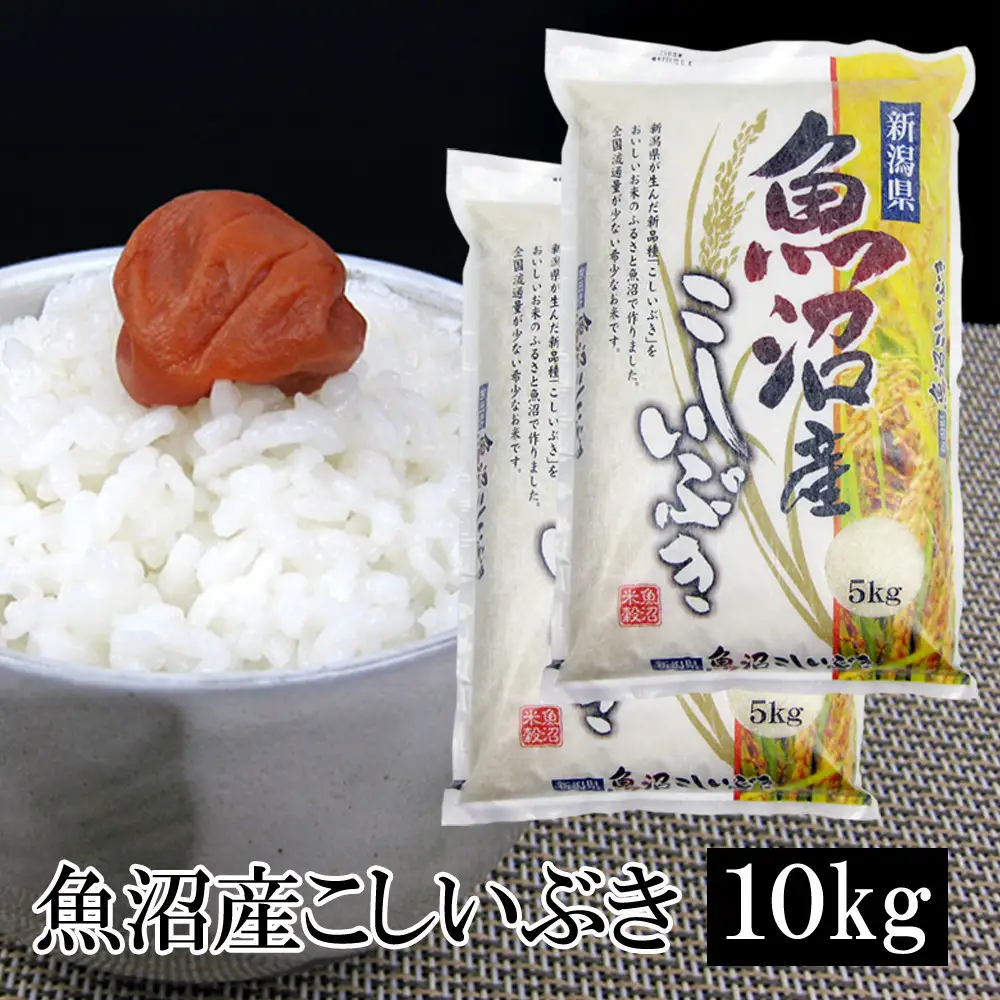 お米マイスター厳選！7年産魚沼産こしいぶき　10kg(5kg×2)