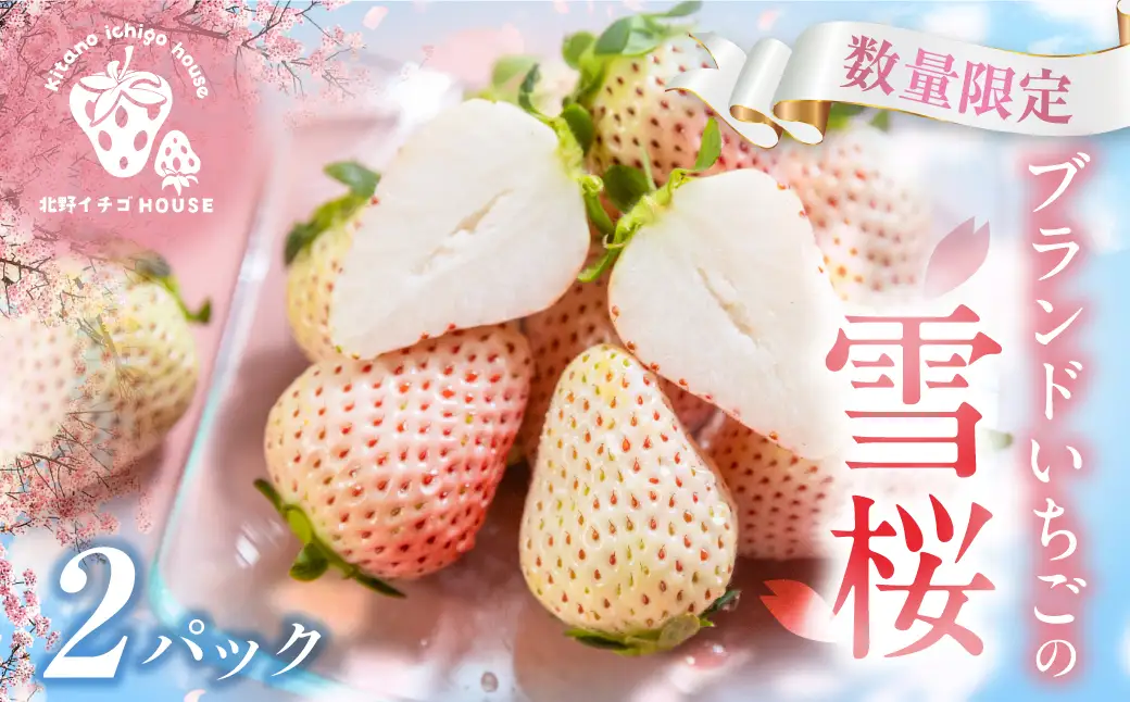 希少白いちご 雪桜 2P 高級 苺