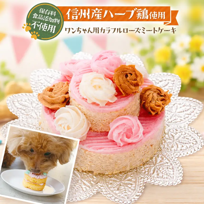 カラフル ローズ ミート ケーキ ( 犬用 )