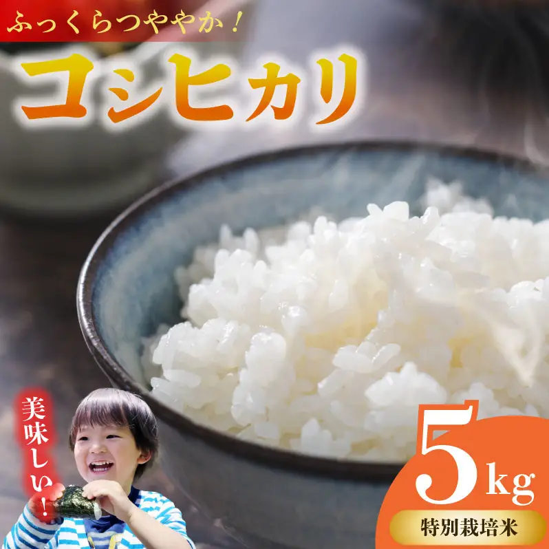 コシヒカリ 5kg 牧之原市 静岡県 山本耕業