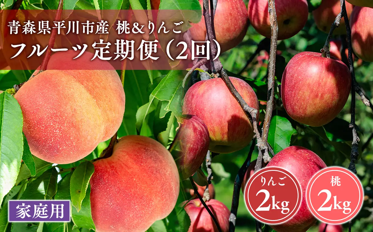 青森フルーツ満喫便　家庭用 桃＆りんご 2回定期コース【hi-0999-009】