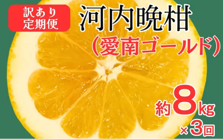 訳あり 愛南ゴールド ( 河内晩柑 ) 旬の定期便 全3回 8kg かわちばんかん ミカン わけあり  家庭用 あいなん ゴールド 蜜柑 和製 グレープフルーツ 産地直送 国産 農家直送 期間限定 数量限定 フルーツ 果物 柑橘 傷 不揃い 規格外 愛媛県 愛南町 愛なんよ 