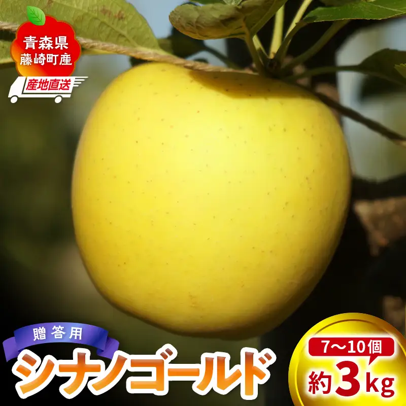 ＜産地直送＞ シナノゴールド 贈答用 特選クラス 約3kg (7〜10個) 【前田農園】 青森りんご F41-0080