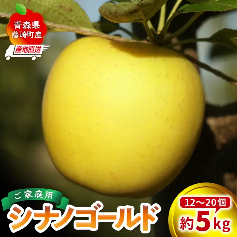 ＜産地直送＞ 訳あり シナノゴールド  約5kg （12～20個） 【前田農園】 青森りんご F41-0082