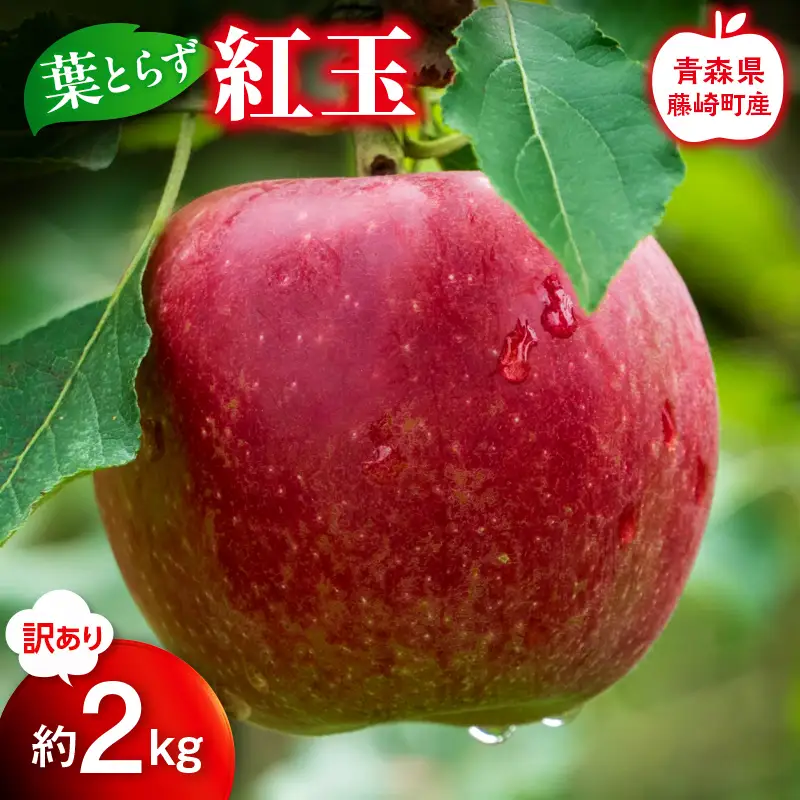 【先行予約】≪訳あり≫ 葉とらず 紅玉 約2kg【グランドアップル】 青森りんご F41-0032