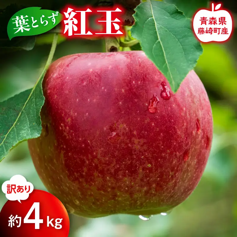 【先行予約】≪訳あり≫ 葉とらず 紅玉 約4kg【グランドアップル】 青森りんご F41-0033