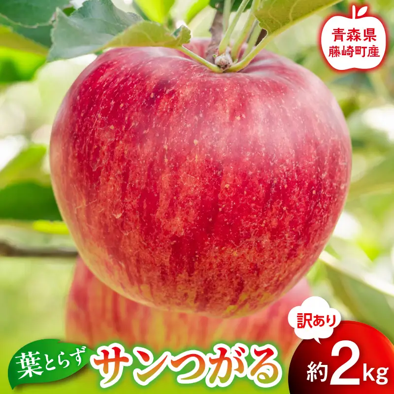 先行予約】訳あり 葉とらず サンつがる 約2kg【グランドアップル