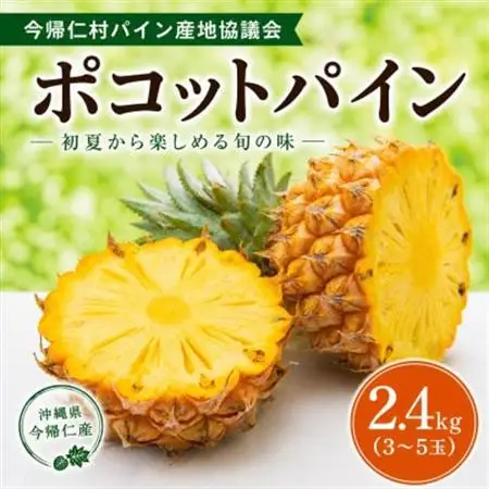 【2026年5月中旬から順次発送】今帰仁村パイン産地協議会 ポコットパイン2.4kg(3～5玉)【配送不可地域：離島】【1734538】