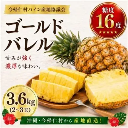 【2026年6月下旬から順次発送】今帰仁村パイン産地協議会 ゴールドバレル3.6kg(2～3玉)【配送不可地域：離島】【1734540】