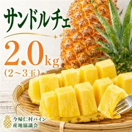 【2026年8月上旬から順次発送】今帰仁村パイン産地協議会 サンドルチェ2.0kg(2～3玉)【配送不可地域：離島】【1734541】