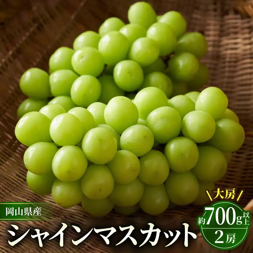 シャインマスカット　大房　約700g×2房【配送不可地域：離島】【1726292】