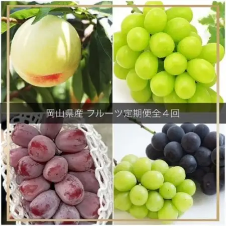 【発送月固定定期便】岡山県産 フルーツ定期便全4回【配送不可地域：離島】【4084920】
