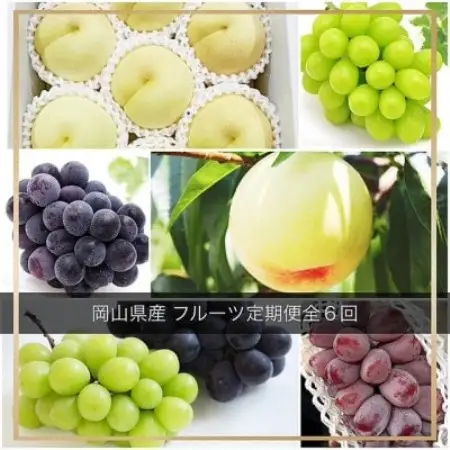 【発送月固定定期便】岡山県産 フルーツ定期便全6回【配送不可地域：離島・北海道・沖縄県】【4084921】