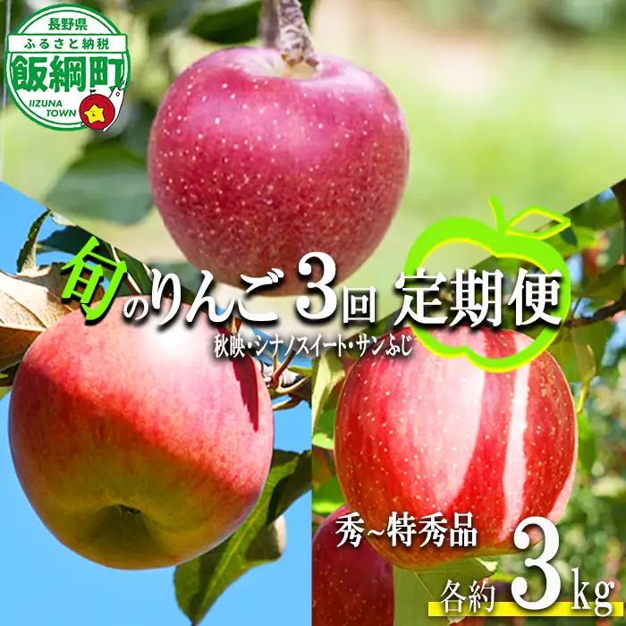 旬のりんご 【 定期便 】 秀～特秀 3kg × 3回 丸山りんご園 沖縄県への配送不可 2026年10月上旬頃から2026年12月下旬頃まで順次発送予定 令和8年度収穫分 信州 果物 フルーツ リンゴ 林檎 長野 予約 農家直送 長野県 飯綱町 [1833]