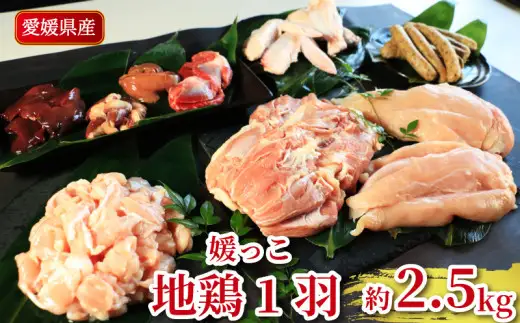 地鶏 愛媛 媛っこ地鶏 1羽セット 約2.5kg 鶏肉 鳥肉 肉 チキン むね肉 もも肉 ささみ レバー せせり ハツ 砂肝 焼肉 焼き鳥  BBQ 冷凍 国産 高級 タンパク質 低脂肪 糖質 唐揚げ チキン南蛮 サラダチキン スープ 出汁 モツ煮 ダイエット 愛南町 送料無料 ローカルスタンダード
