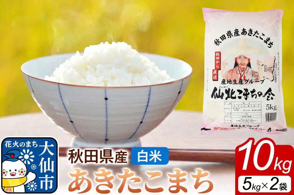 米 あきたこまち 令和7年産【白米】10kg（5kg×2袋）秋田県 大仙市産